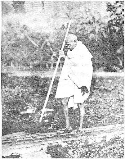 innoakhali.gif (220445 bytes)